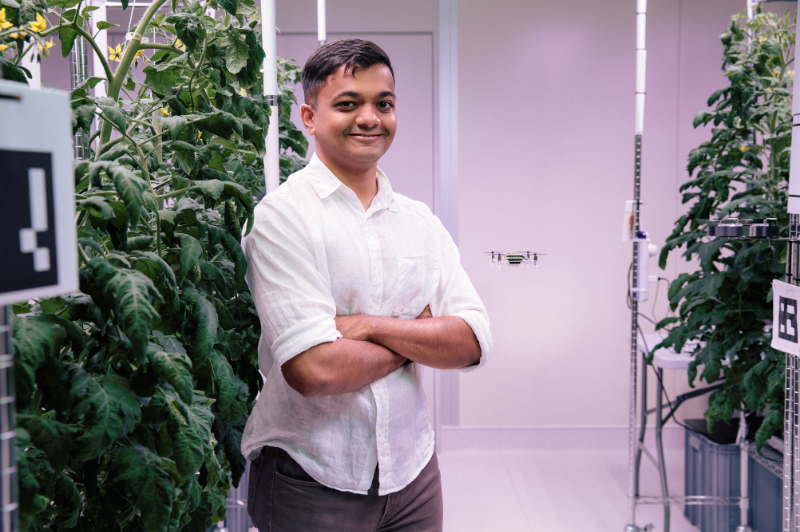 From research trial to commercial crop: Polybee five years on