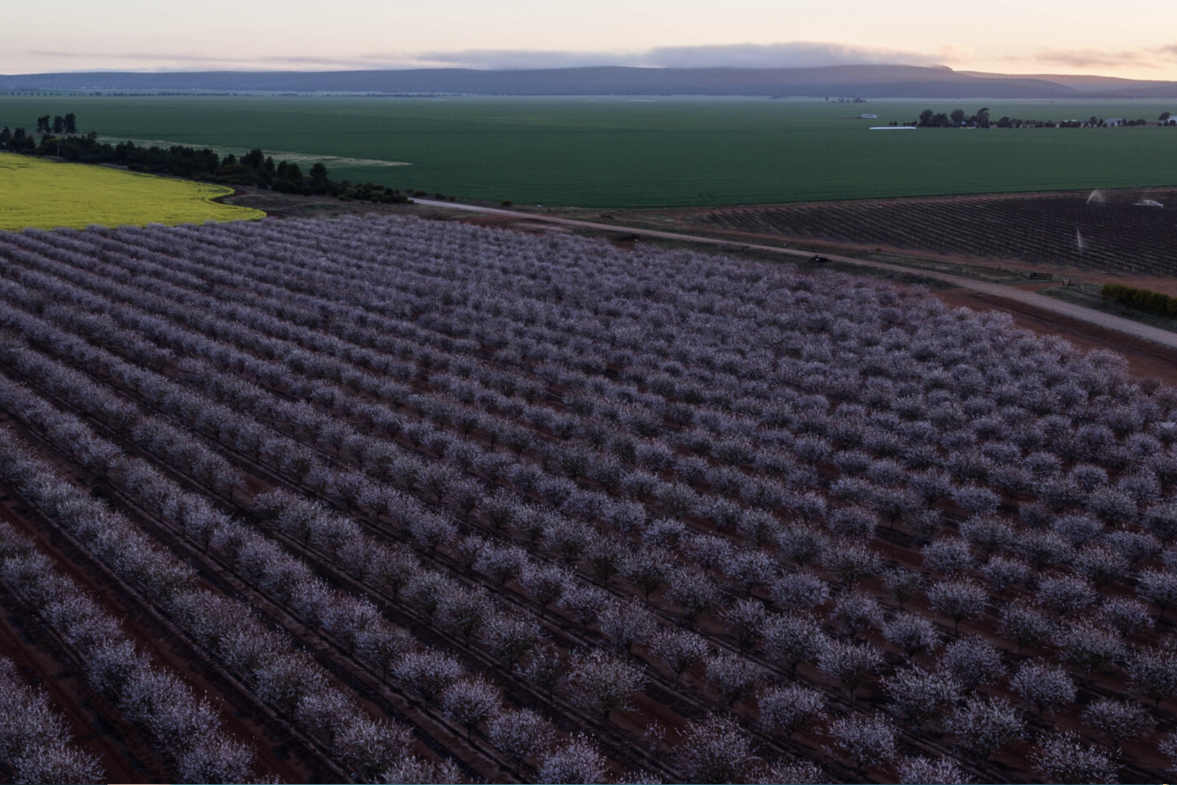 Almond industry international study tours (AL23004)