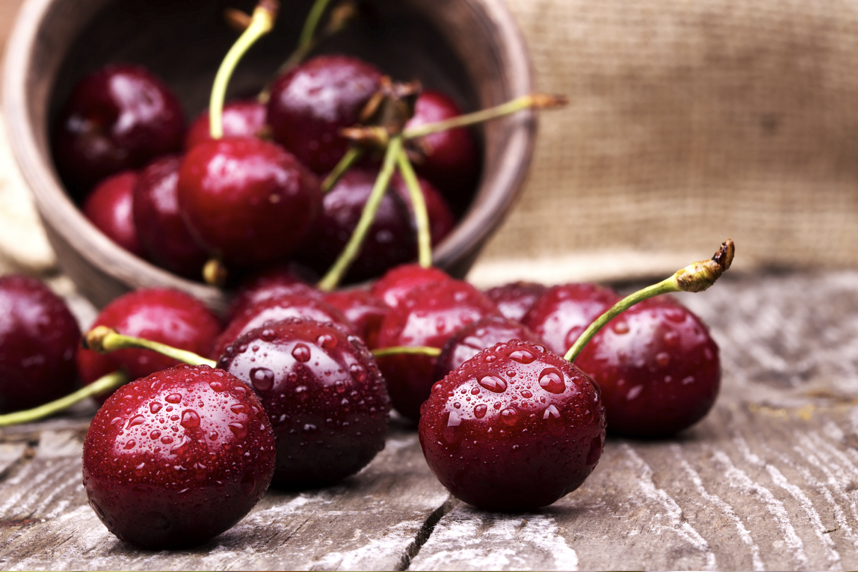 Cherry industry conference 2026 (CY25001) 