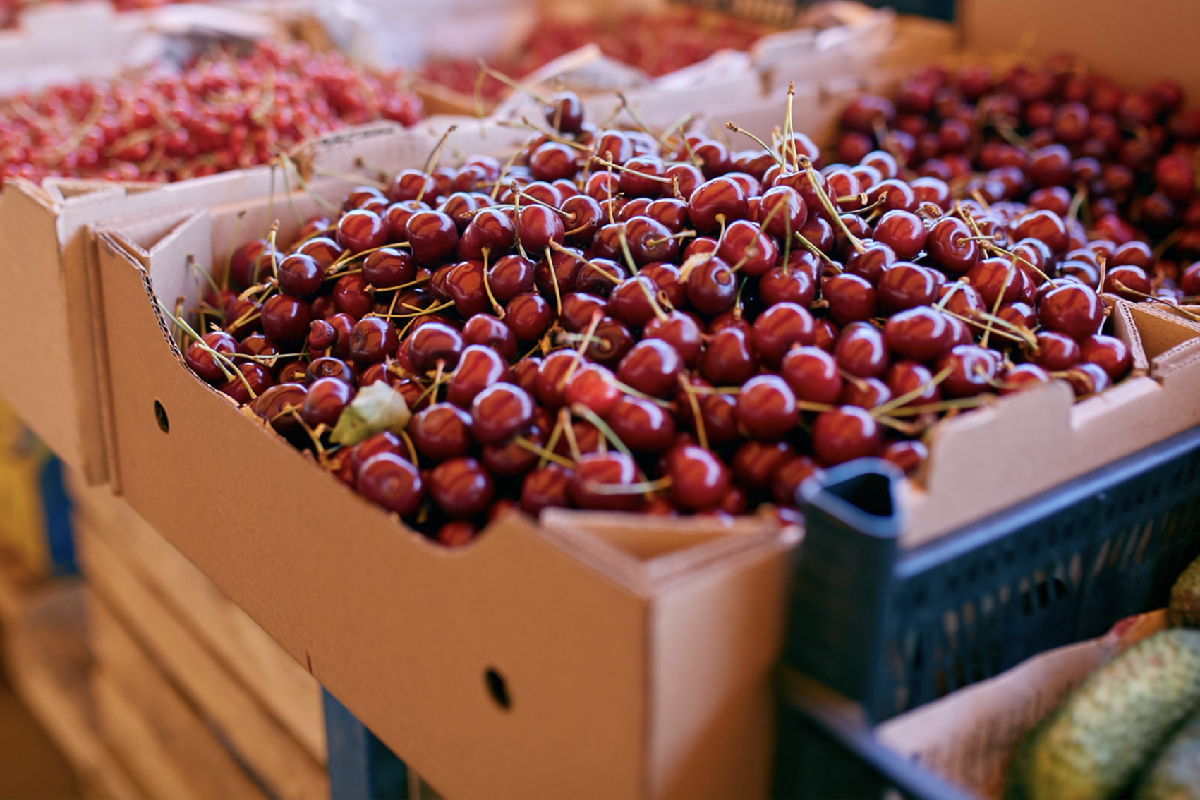 Monitoring cherry supply chain quality (CY25002)