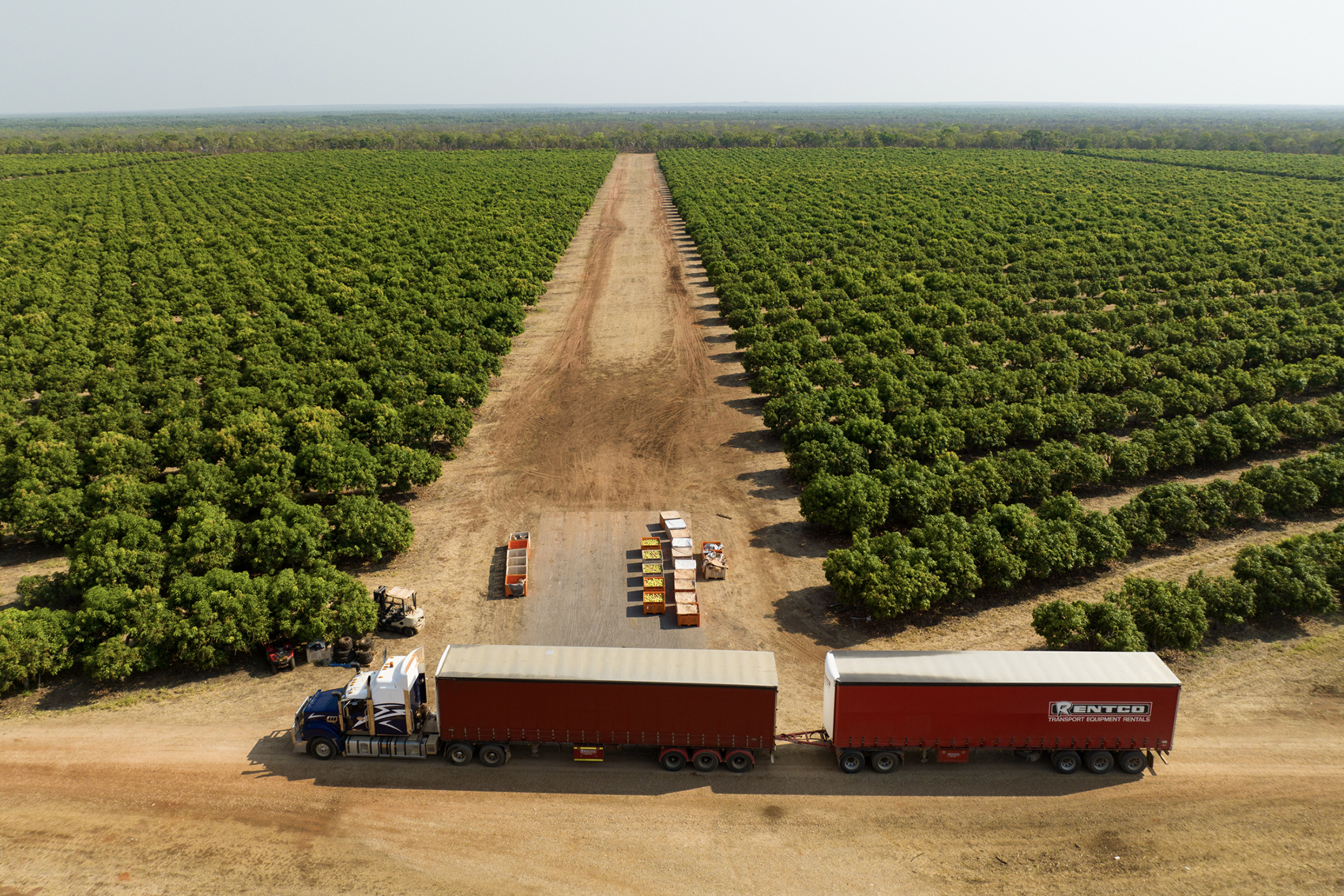 Mango trade development project (MG25003) 