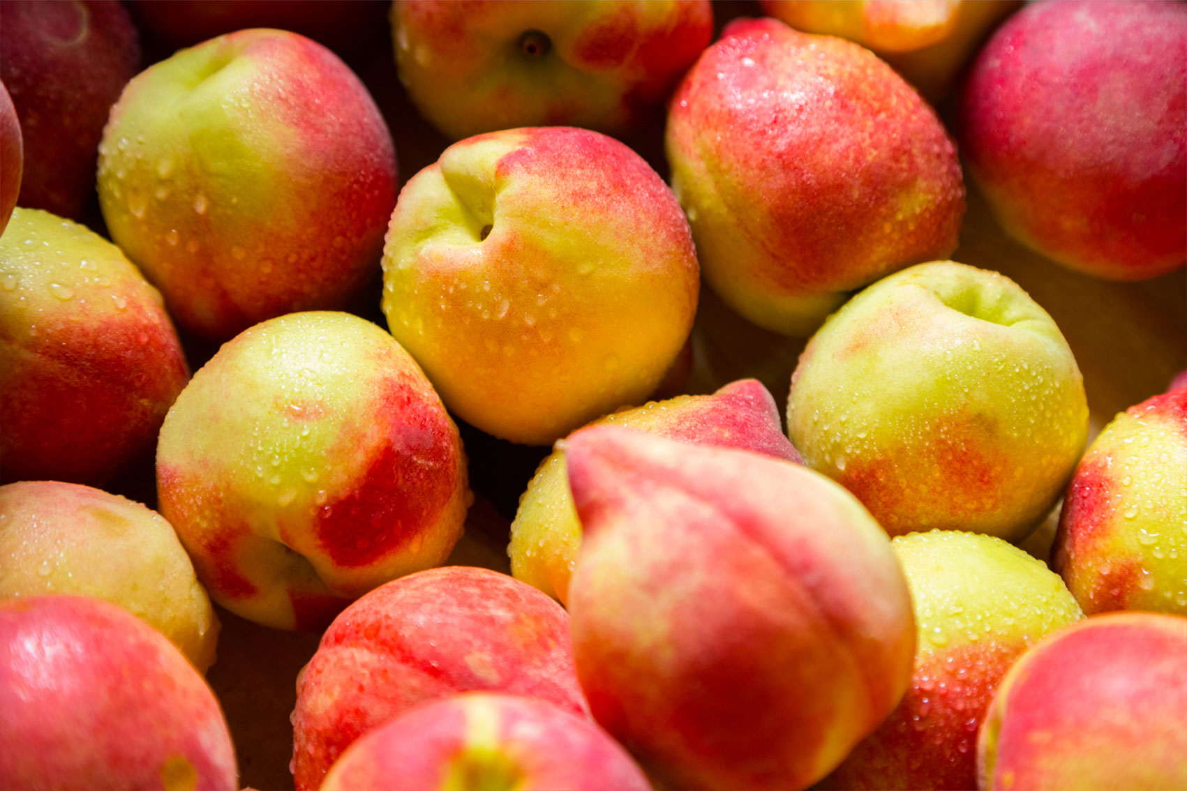 Summerfruit export data portal (SF25002) 