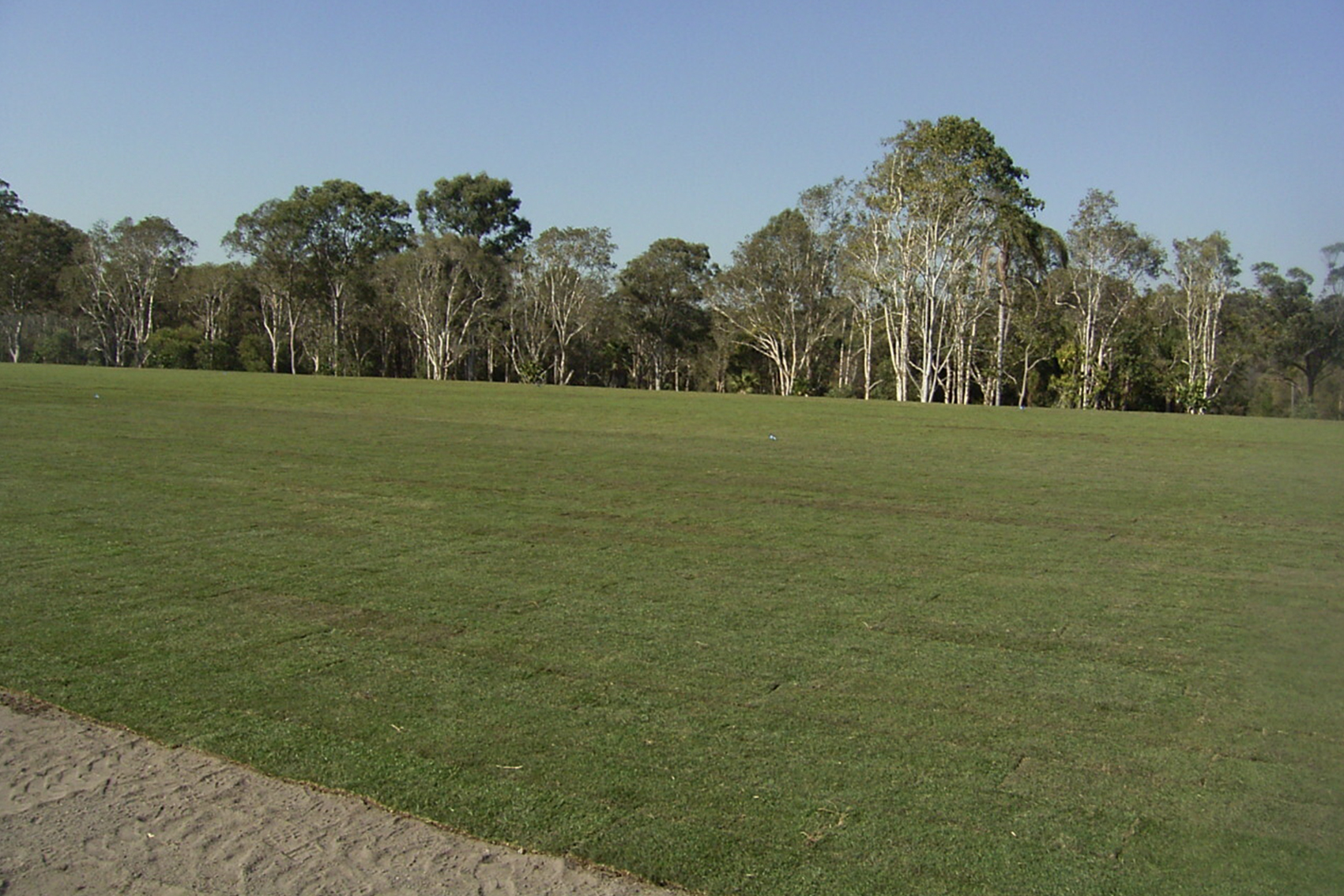 Turf industry development and extension project (TU21001)