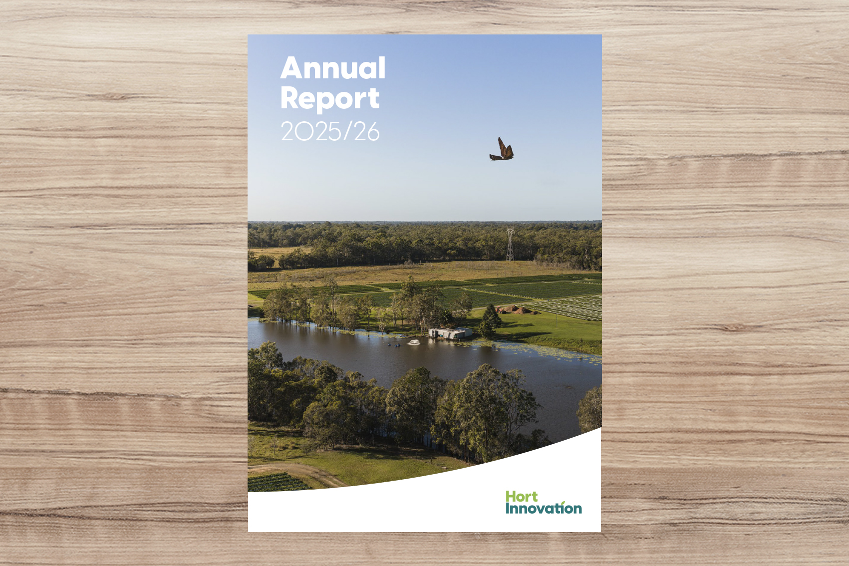 Article-AU-Annual-Report-2025-26