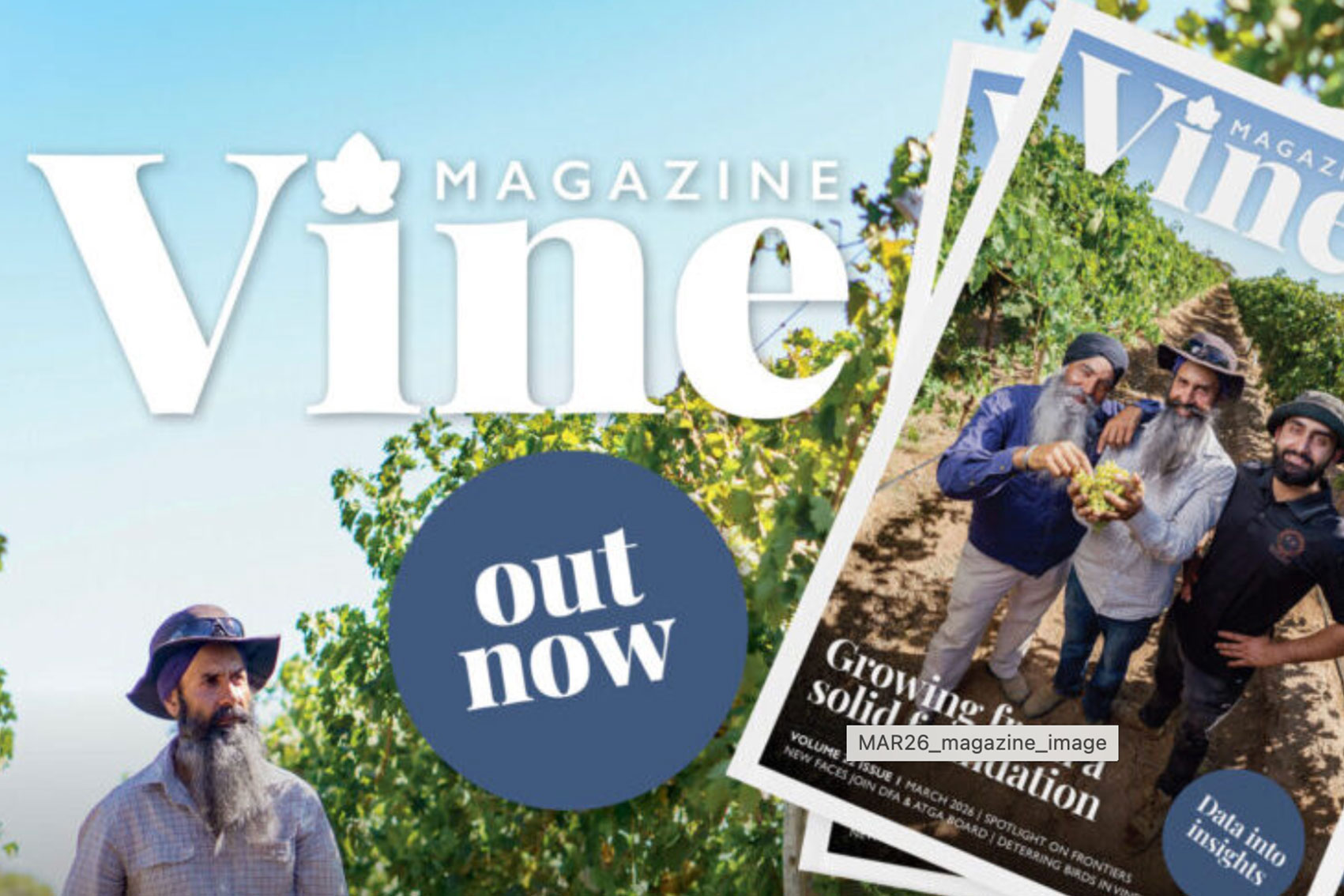 Dried grape industry communications program (DG22000)
