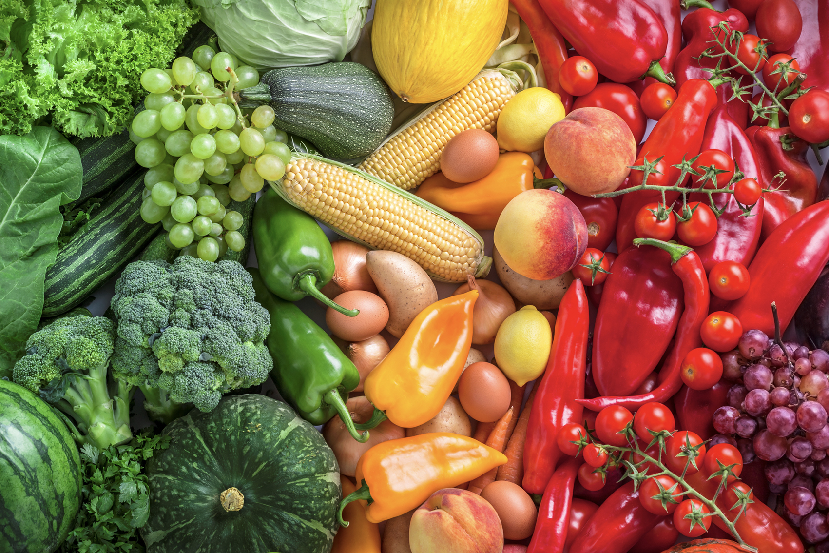 Horticulture Impact Assessment Program 2023/24 to 2025/26 (MT24005)