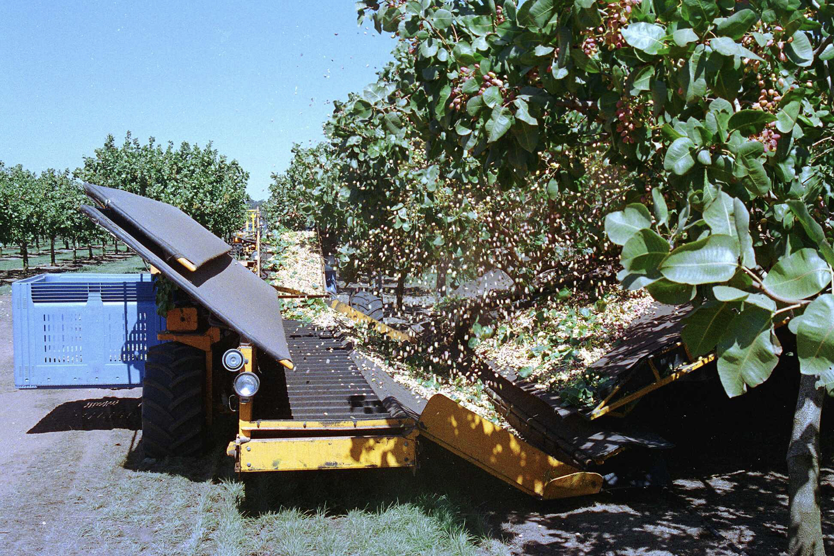Pistachio production research program (PS22000)
