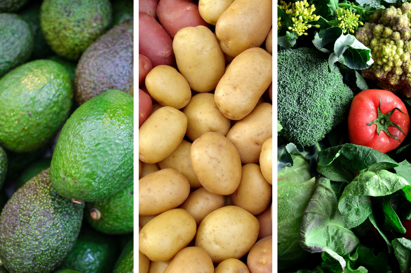 Healthy Horticulture program to put fresh produce front and centre with health professionals