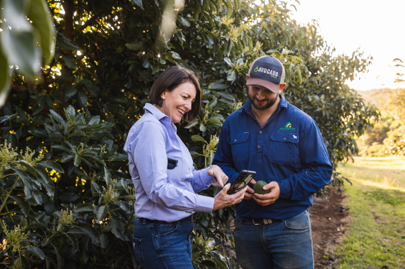 Australian horticulture sets the direction for future levy investments