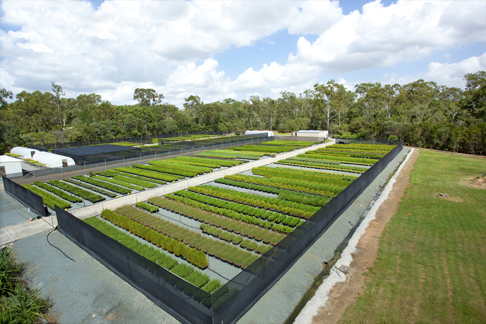 Nursery growers take a stand against pests and diseases