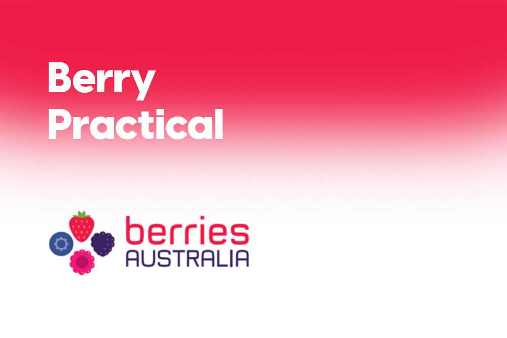 Berry Practical
