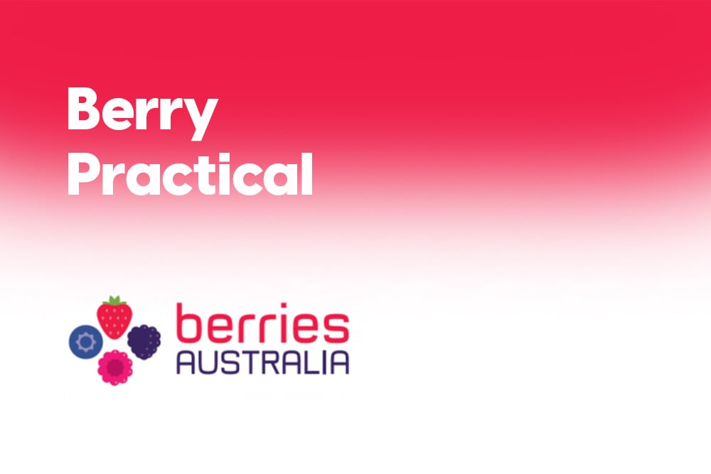Berry Practical
