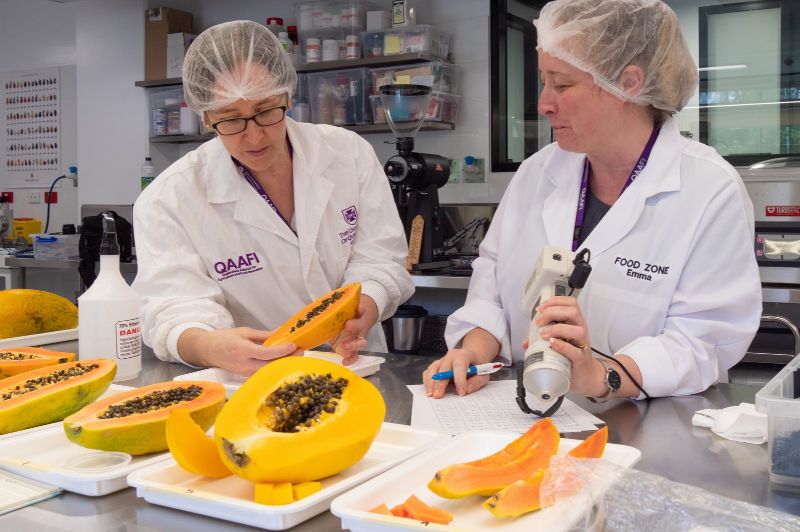 Tech puts consumers at heart of fruit development